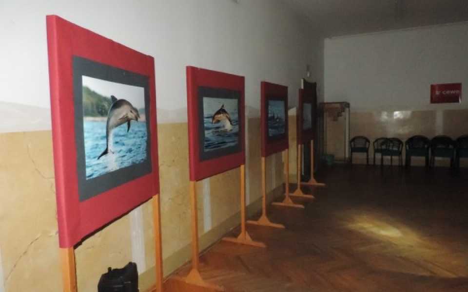 eko teden2015-razstava 011