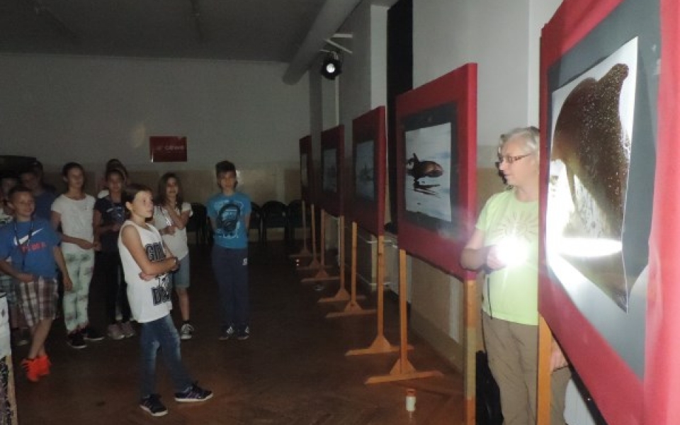 eko teden2015-razstava 012