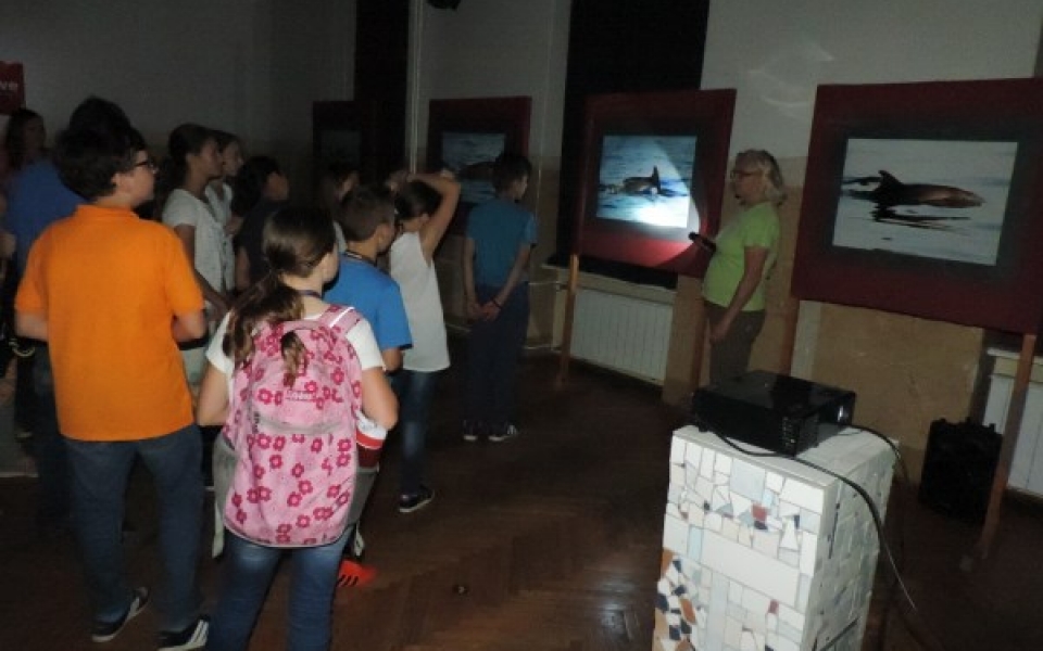 eko teden2015-razstava 013