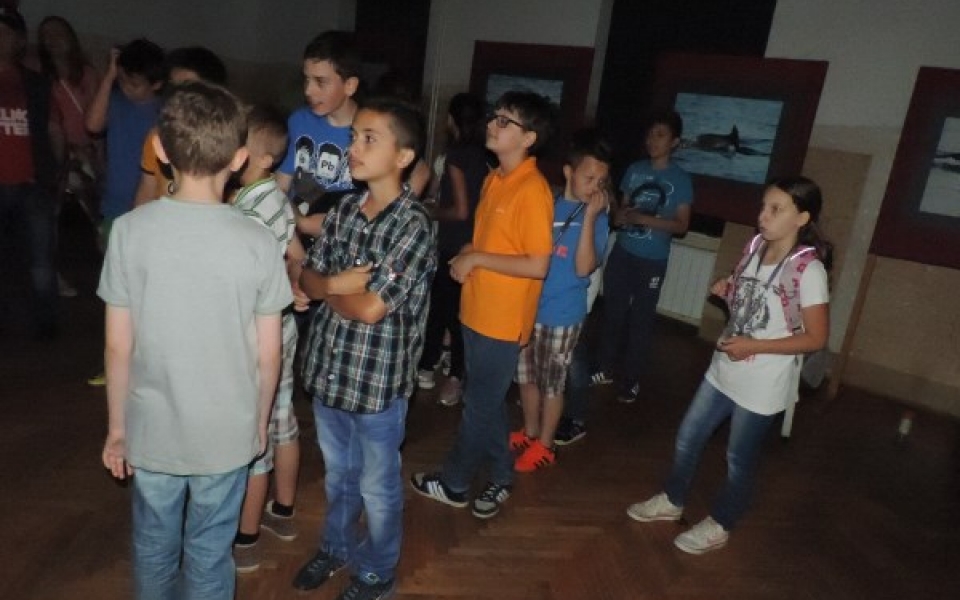 eko teden2015-razstava 015