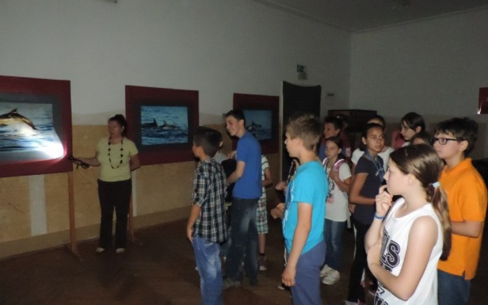 eko teden2015-razstava 016