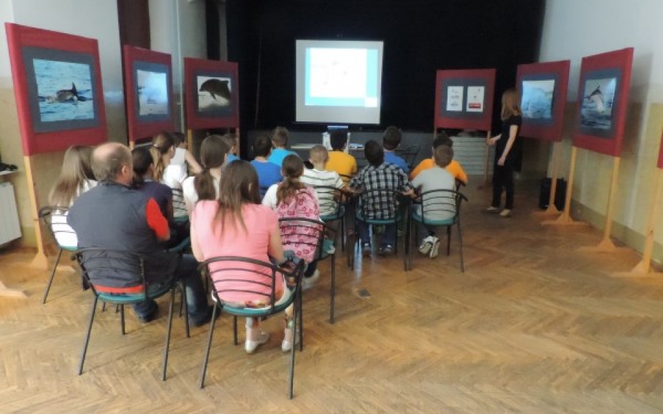 eko teden2015-razstava 021