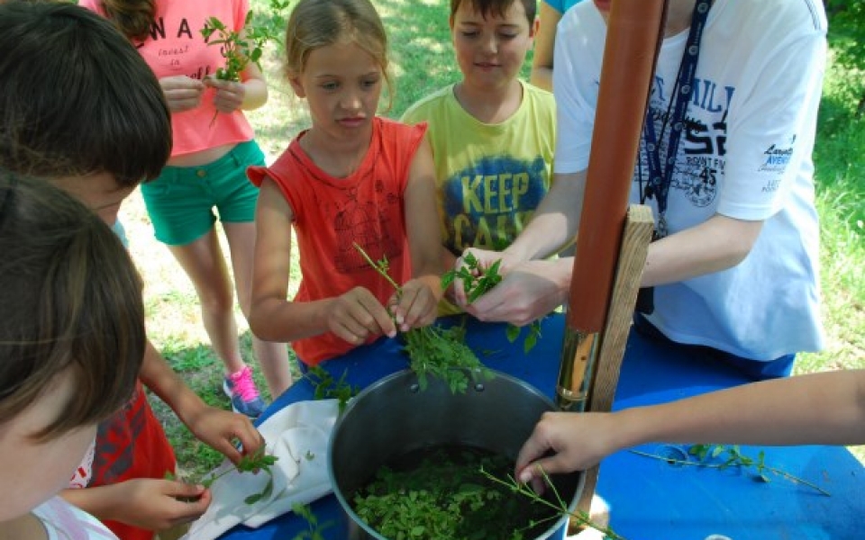 kozjanska domačija2