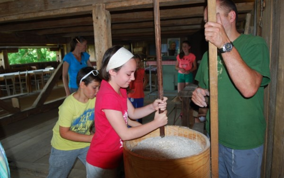 kozjanska domačija5