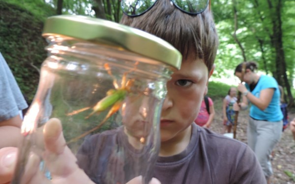 park-kaj se skriva v zemlji1