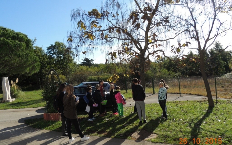 tabor_jesen_2015_splet (2)