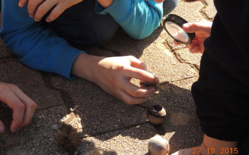 tabor_jesen_2015_splet (35)