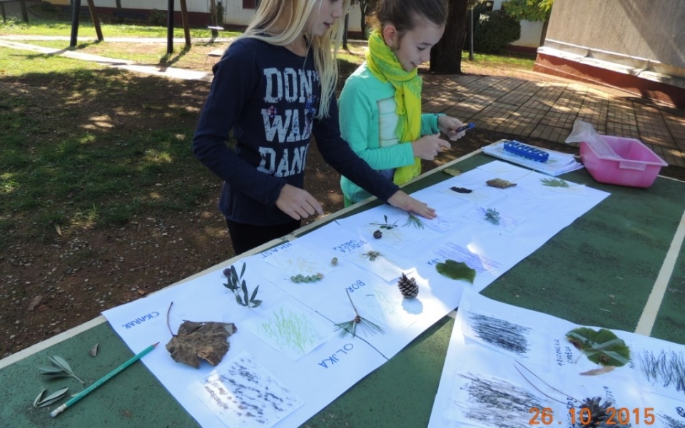 tabor_jesen_2015_splet (8)