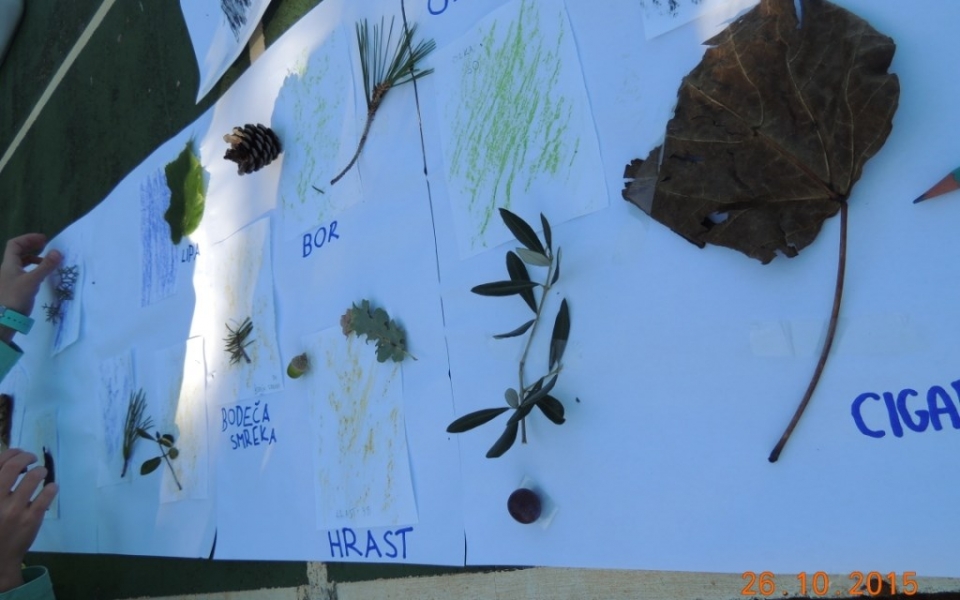 tabor_jesen_2015_splet (9)