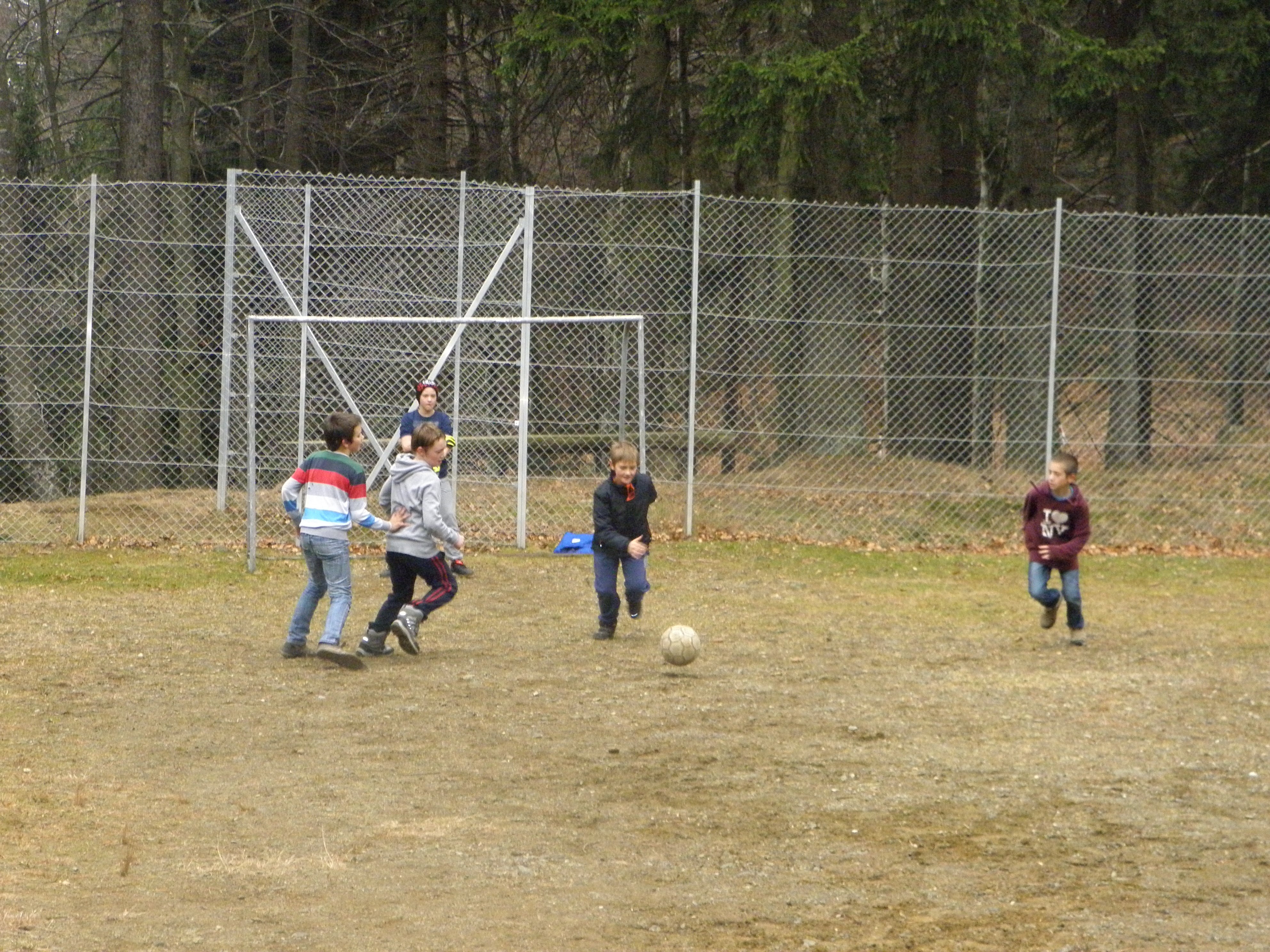 5 okrog Zidanška (5)