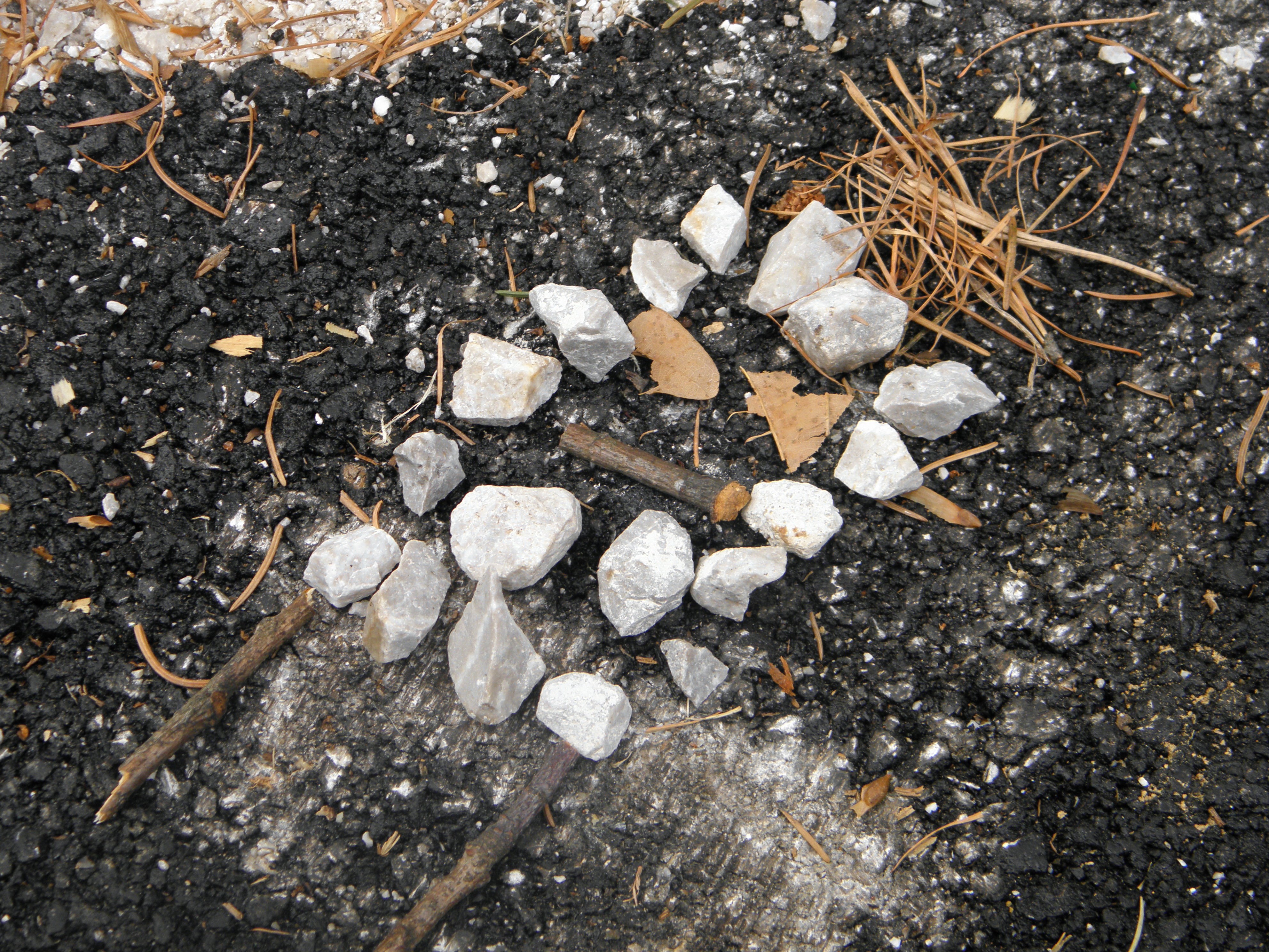 5 okrog Zidanška (8)