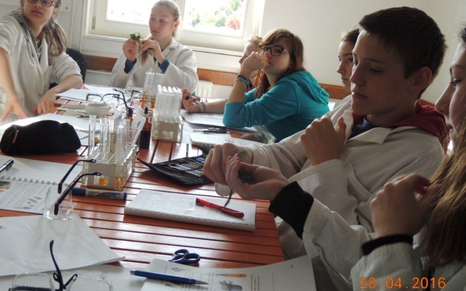 Tabor_kemija_Piran_2016 (15)