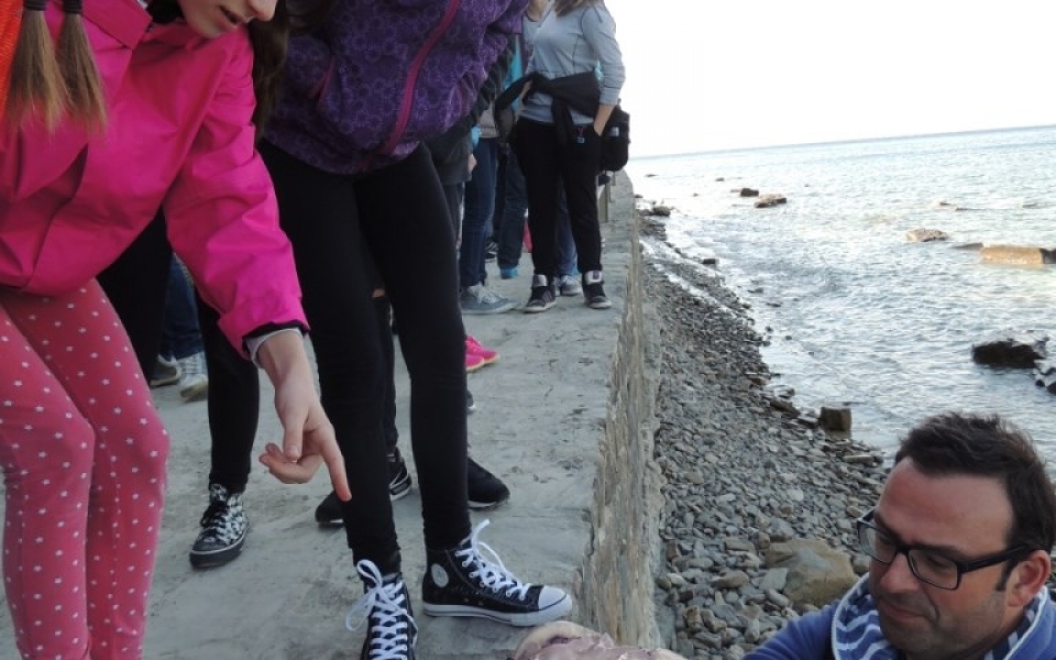 Tabor_kemija_Piran_2016 (3)