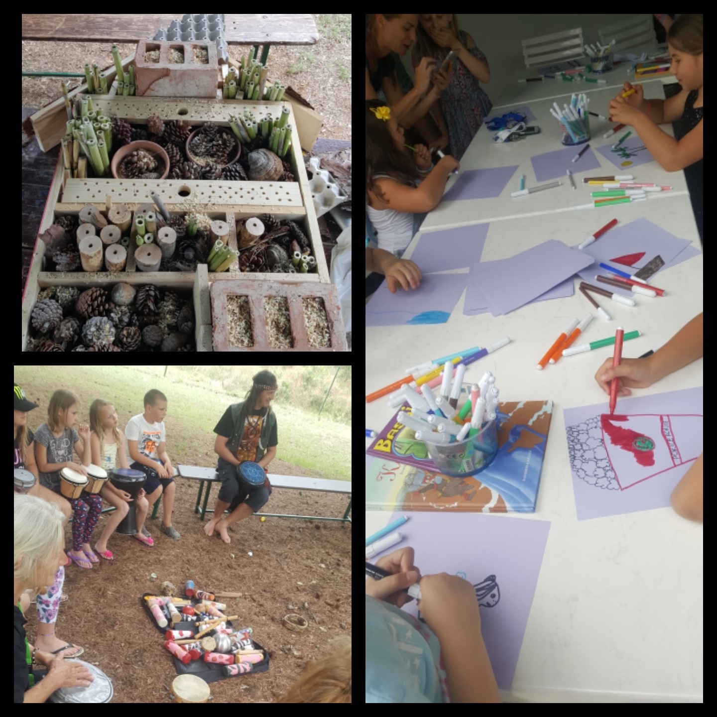 IMG_2018-06-29_10-33-51