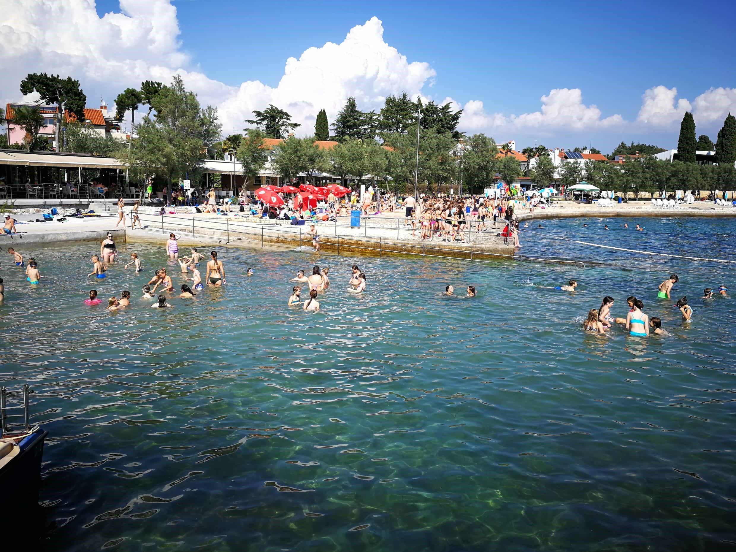 36630782_10156185749707605_8713864614900662272_n