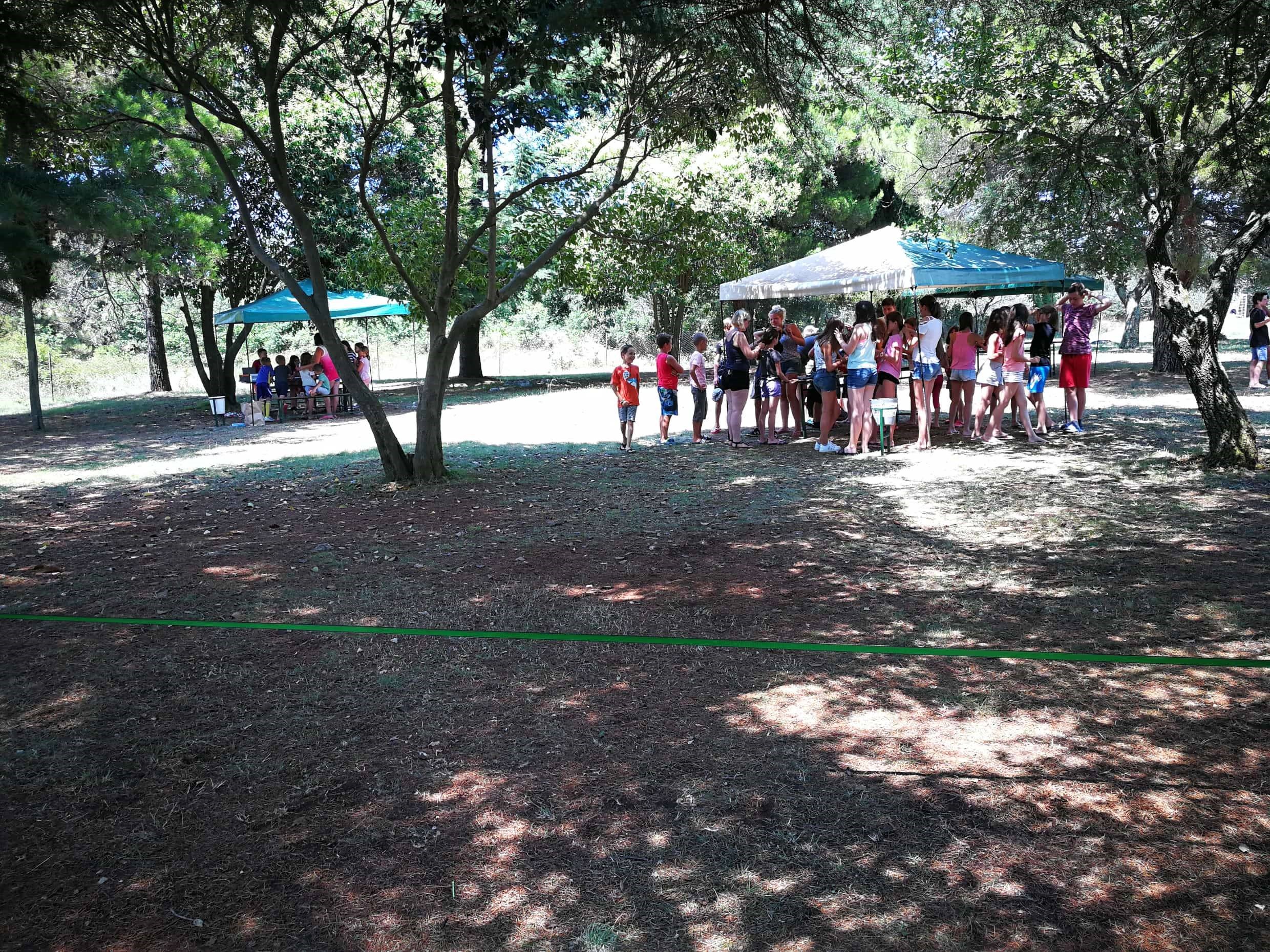 37040375_10156203223192605_7180721599882985472_n