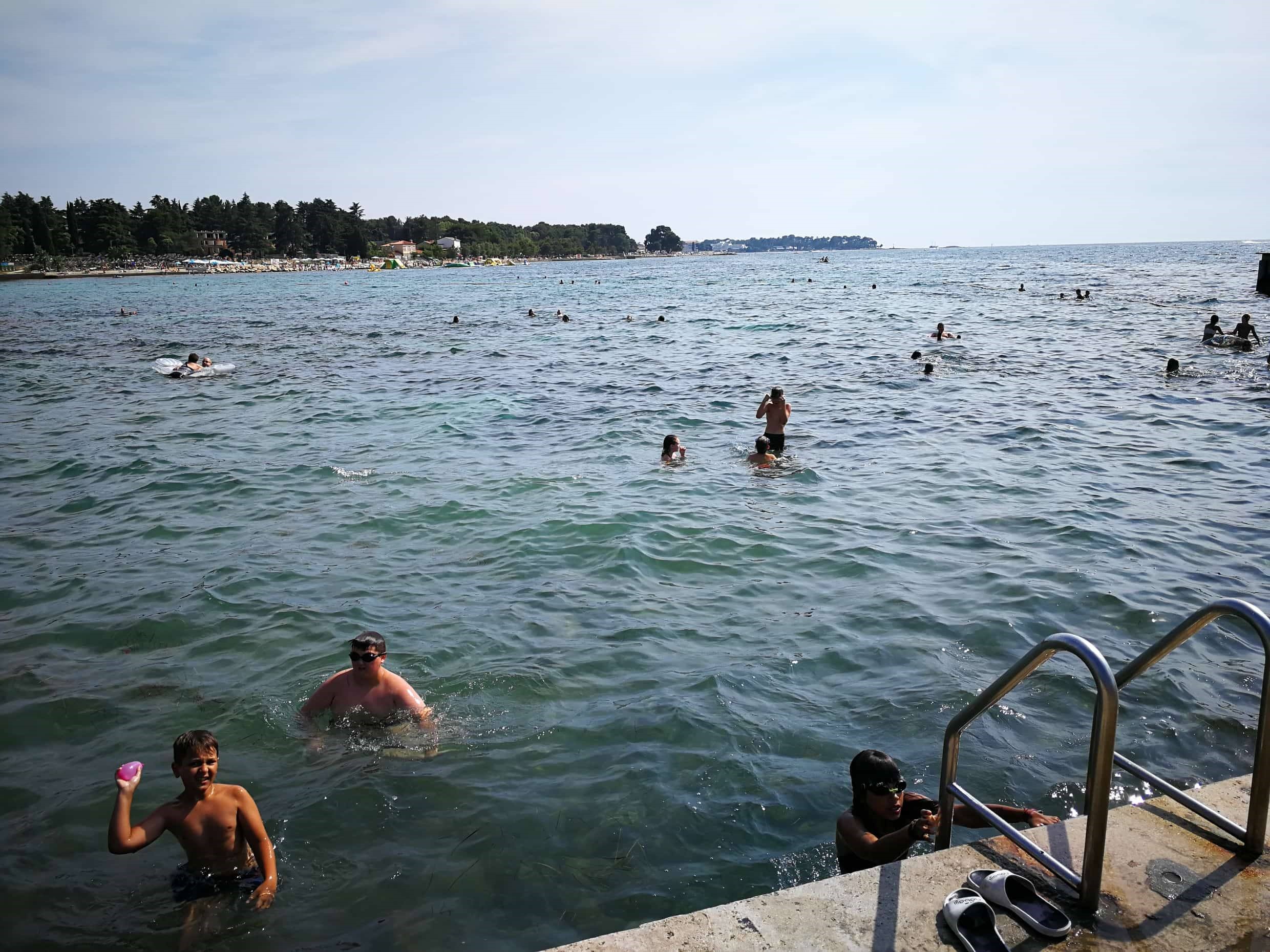 37071365_10156203223132605_8918861234980257792_n