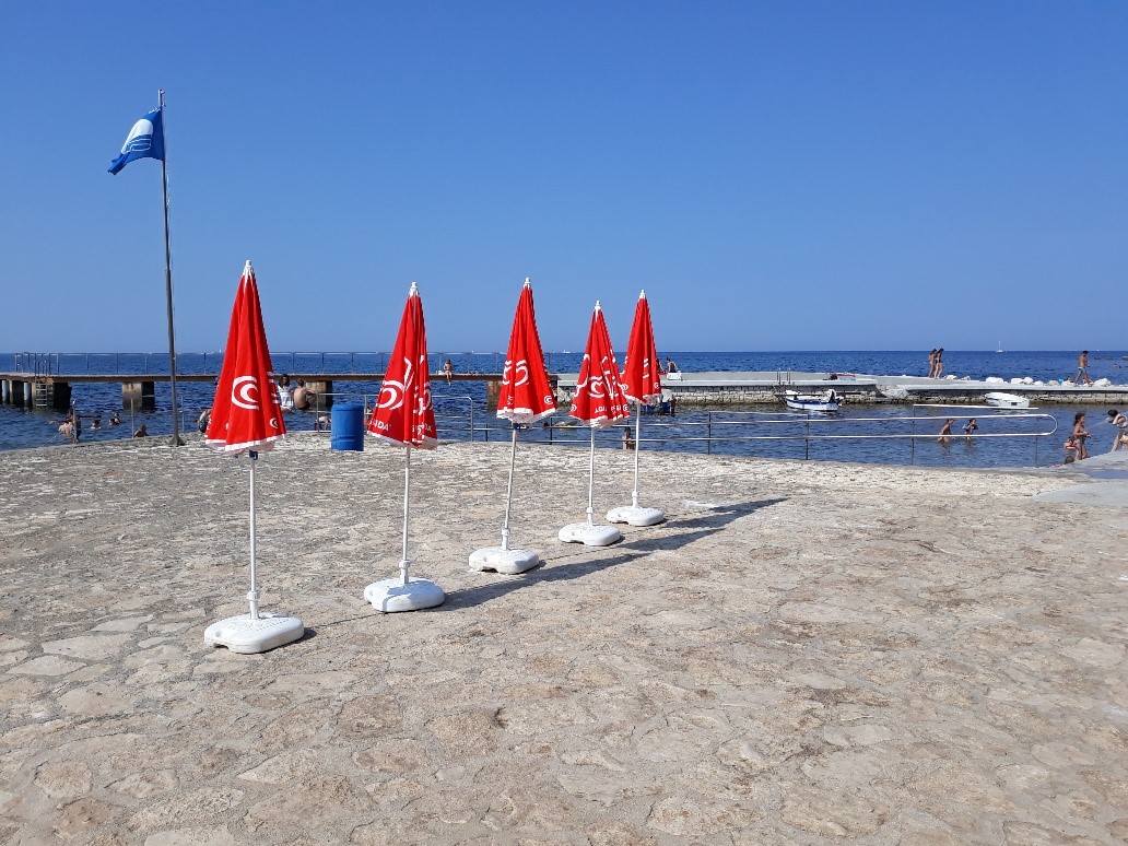 20180807_101312_resized