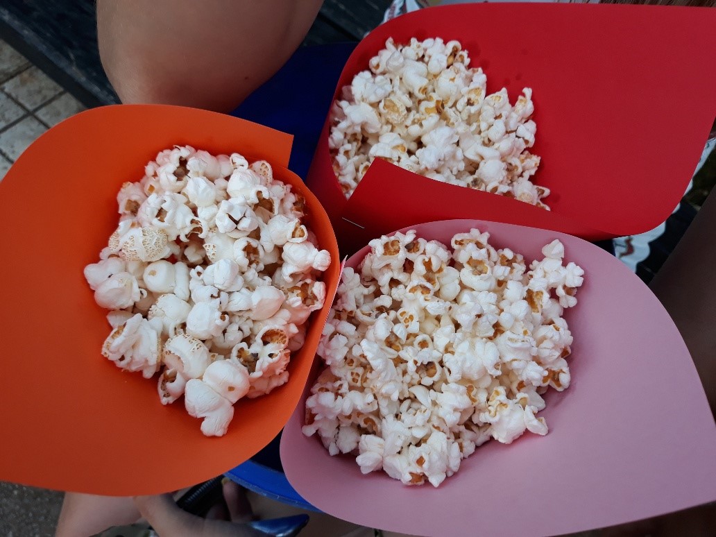 20180811_195656_resized