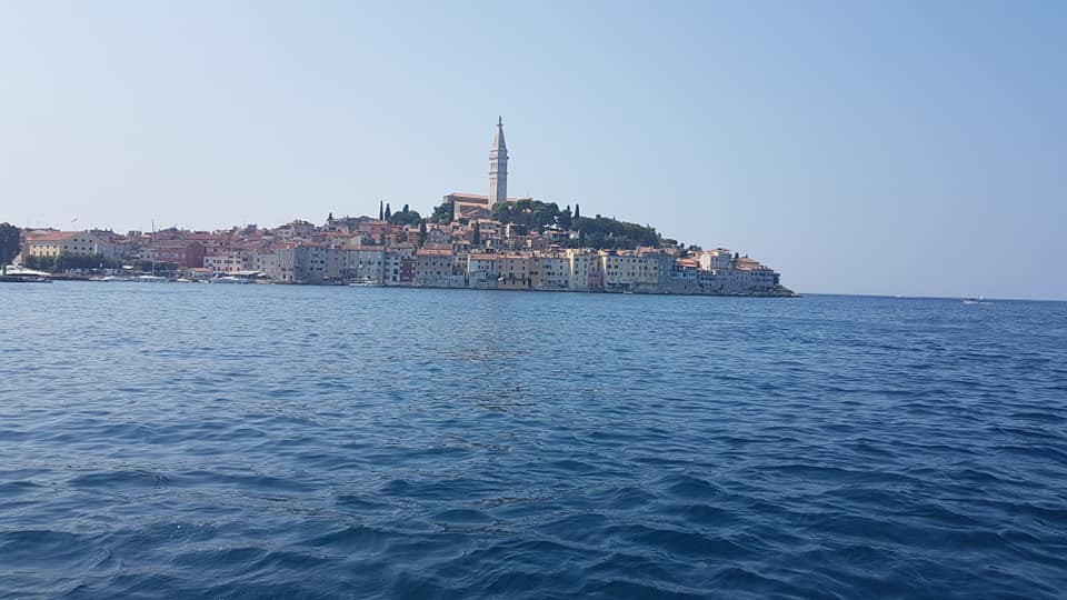 39569853_10215315565300564_1373416080382361600_n