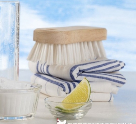 Delavnica – naravna čistila (Kungota)