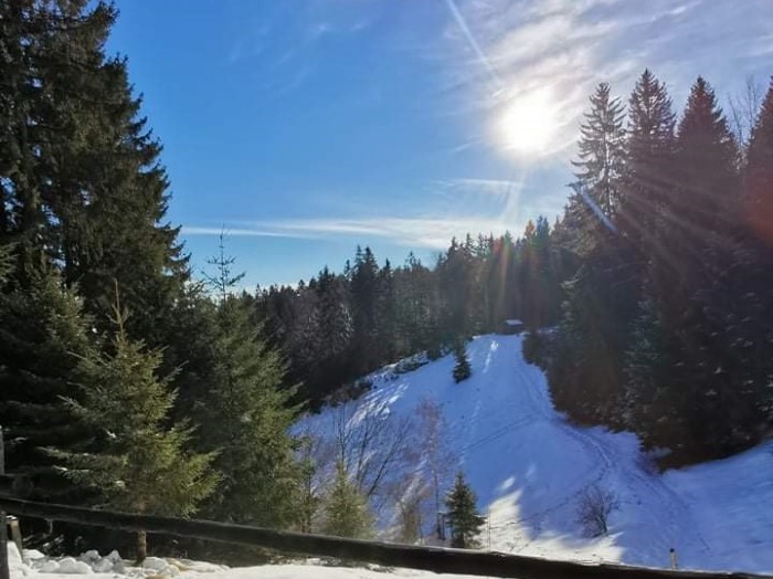 NOVOLETNI TABOR NA DMZ POHORJE 2021