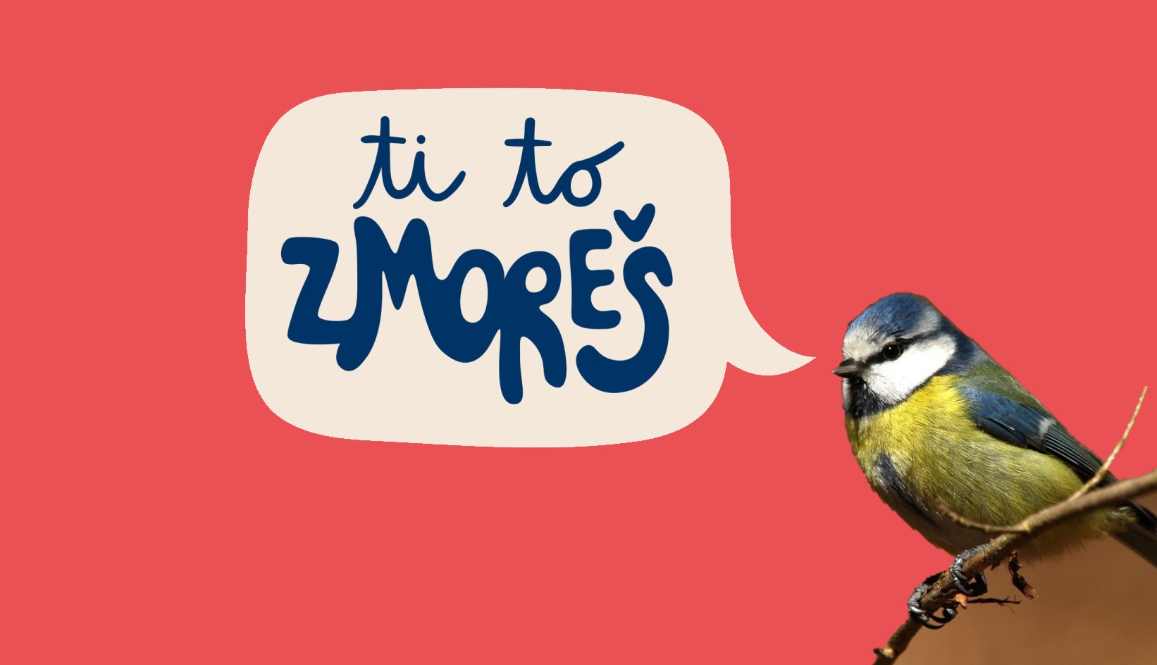 Sprehod za mlade – Ptice in gnezdilnice v Mestnem parku