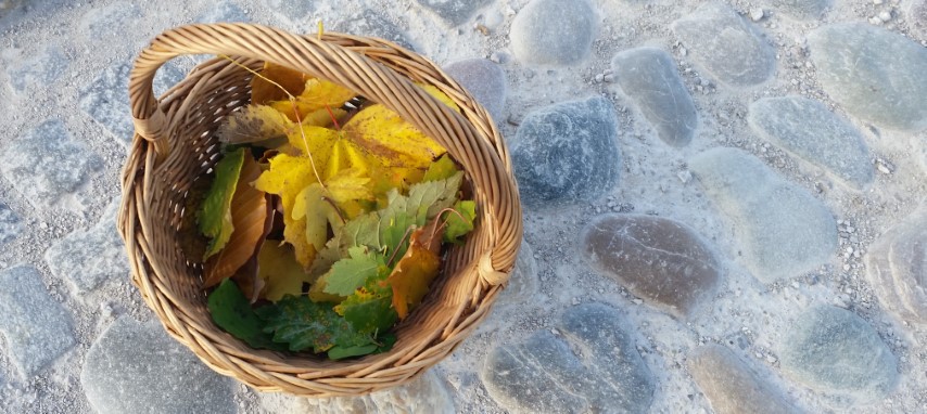 Jesenske počitnice (30.10., 2.-3.11.2023)